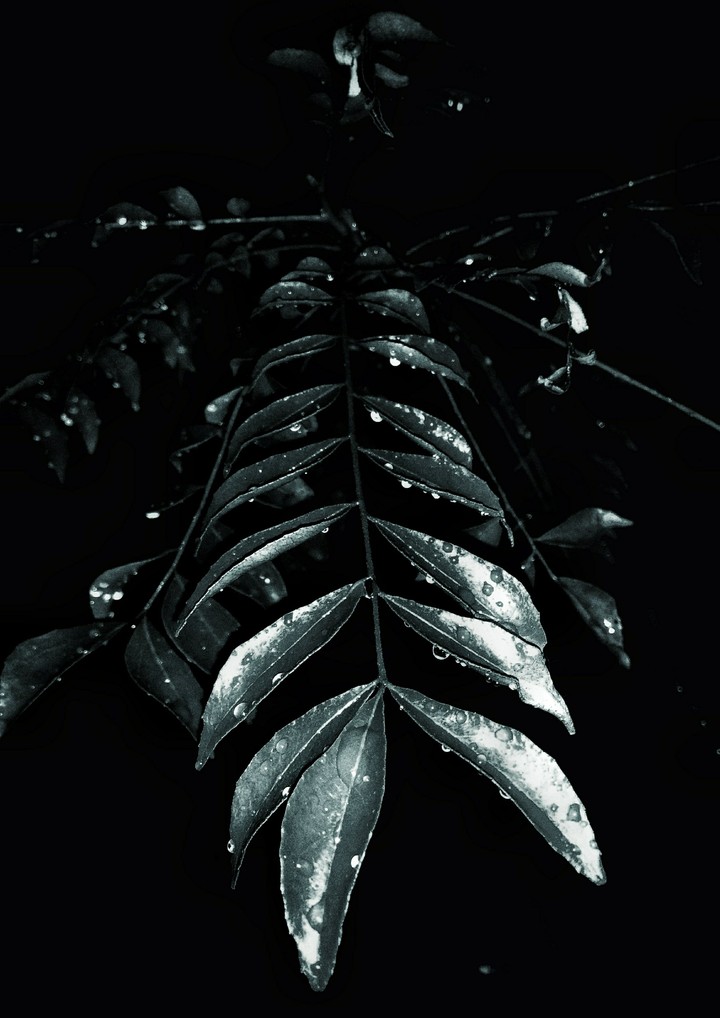 Water crystals.