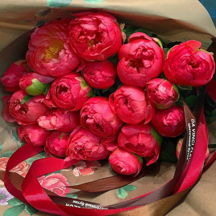 Peonies