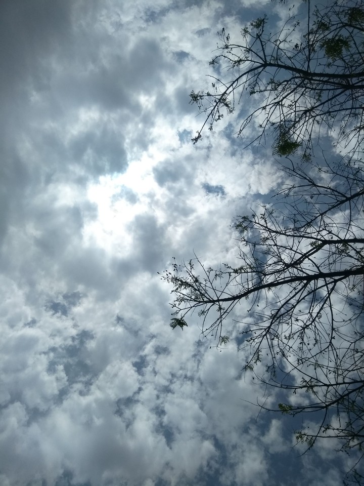 hava