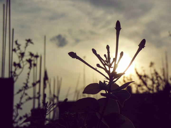 beauty of sunset