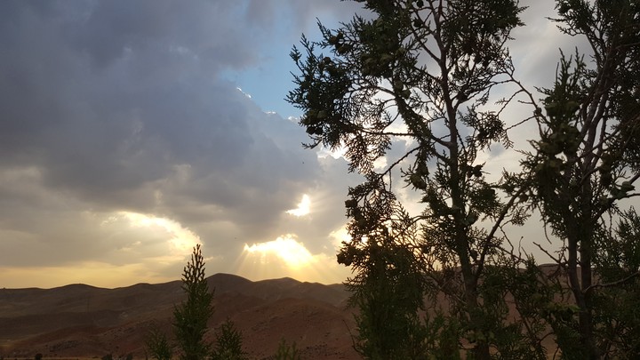 sunset