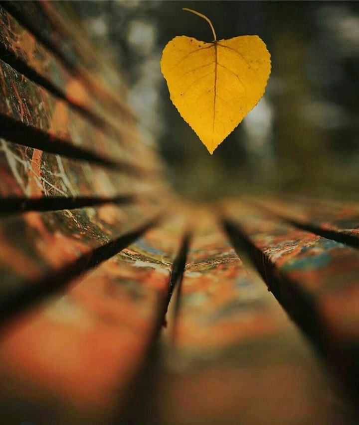 ❤ ☺