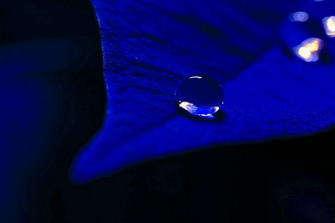 Water drop