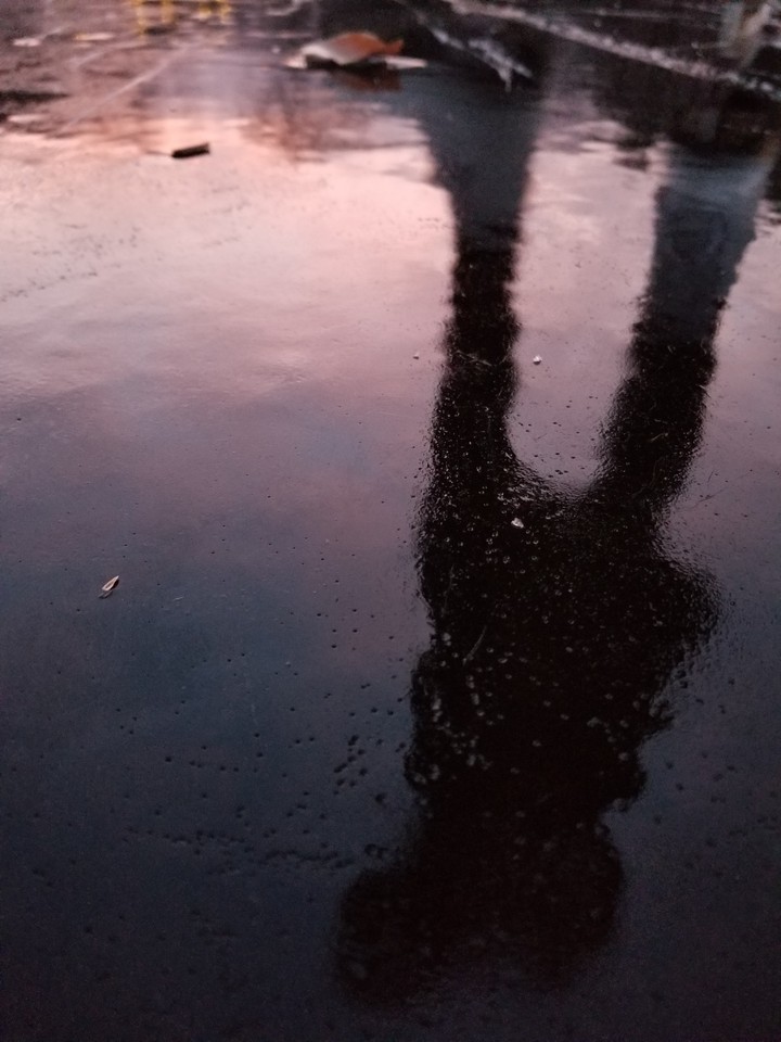Shadow in the Ice