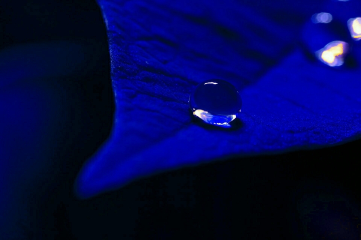 Water drop