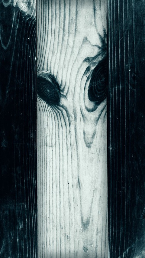 wallpic