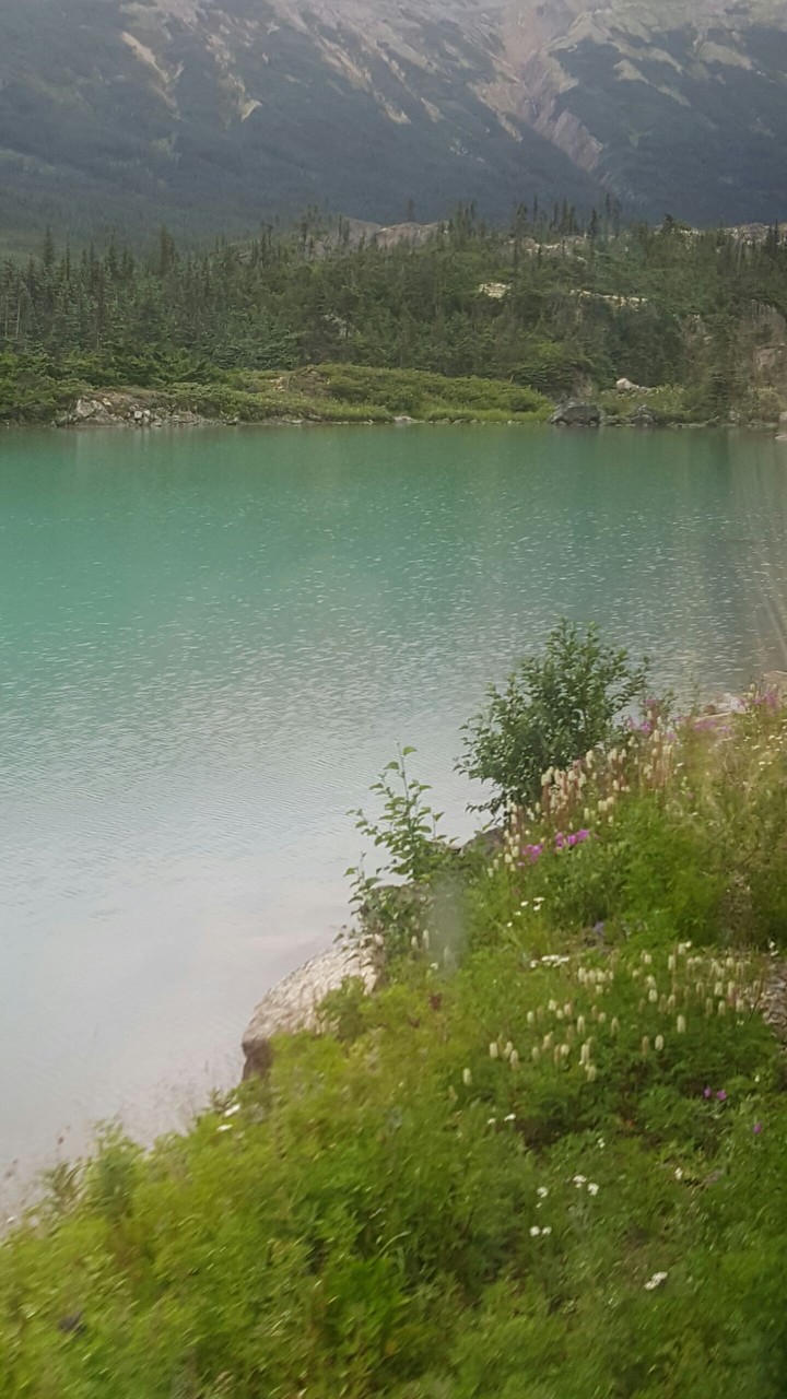 blue water magic