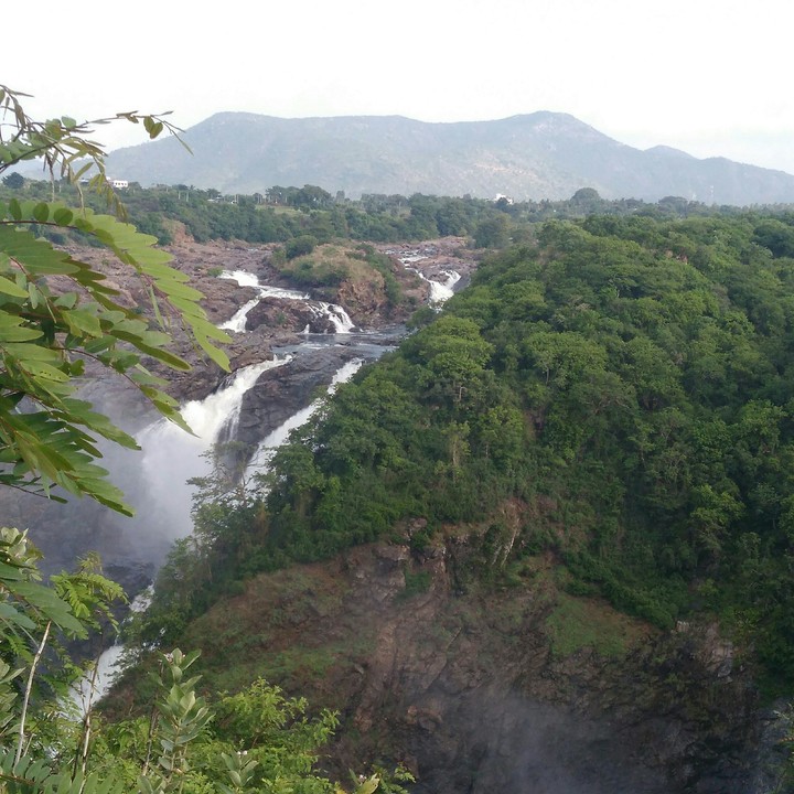 falls