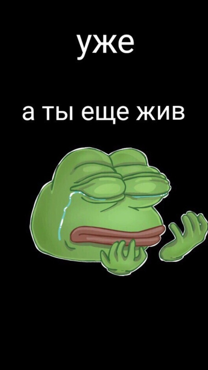 обои