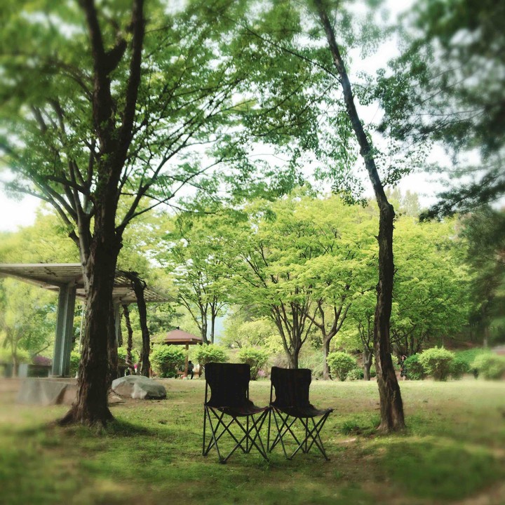 풍경과 사람