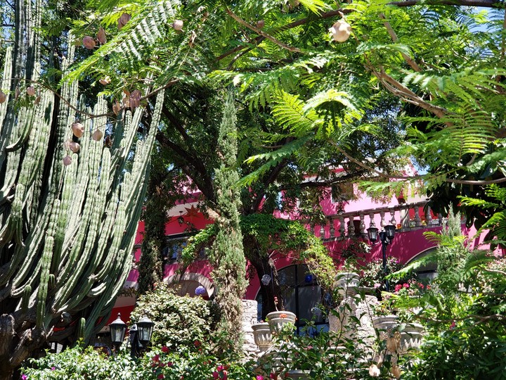Casa Bugambiliaa