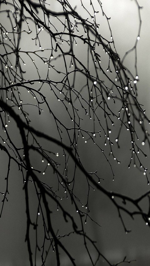 rainy water