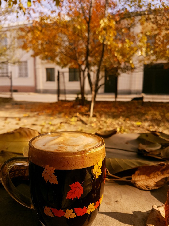 autumn morning