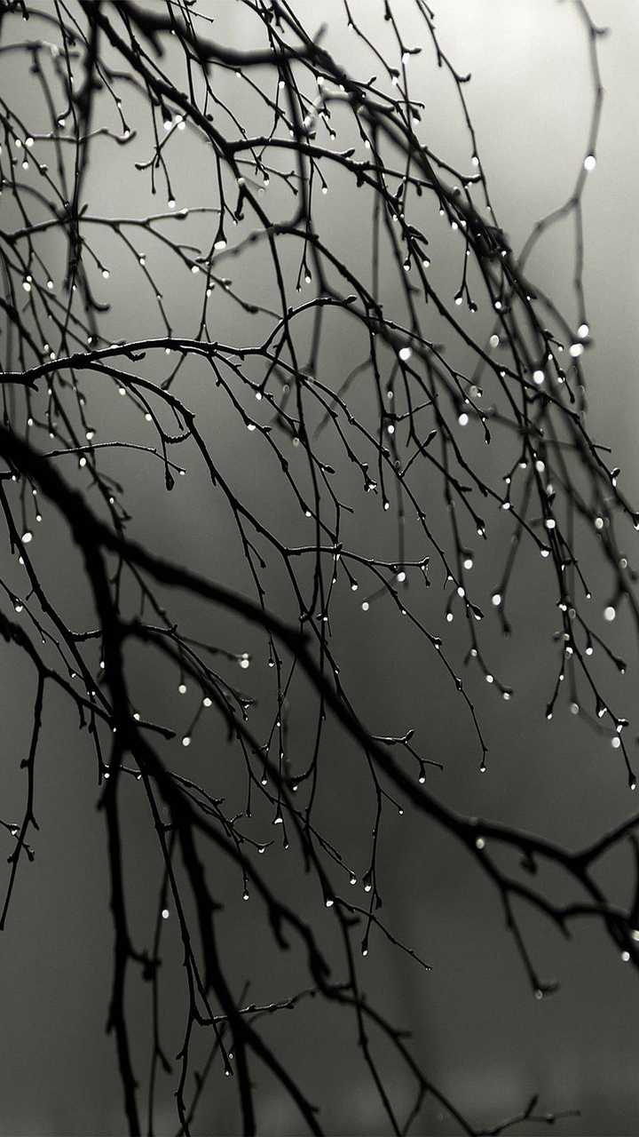 rainy water
