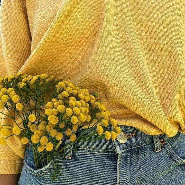 the yellow