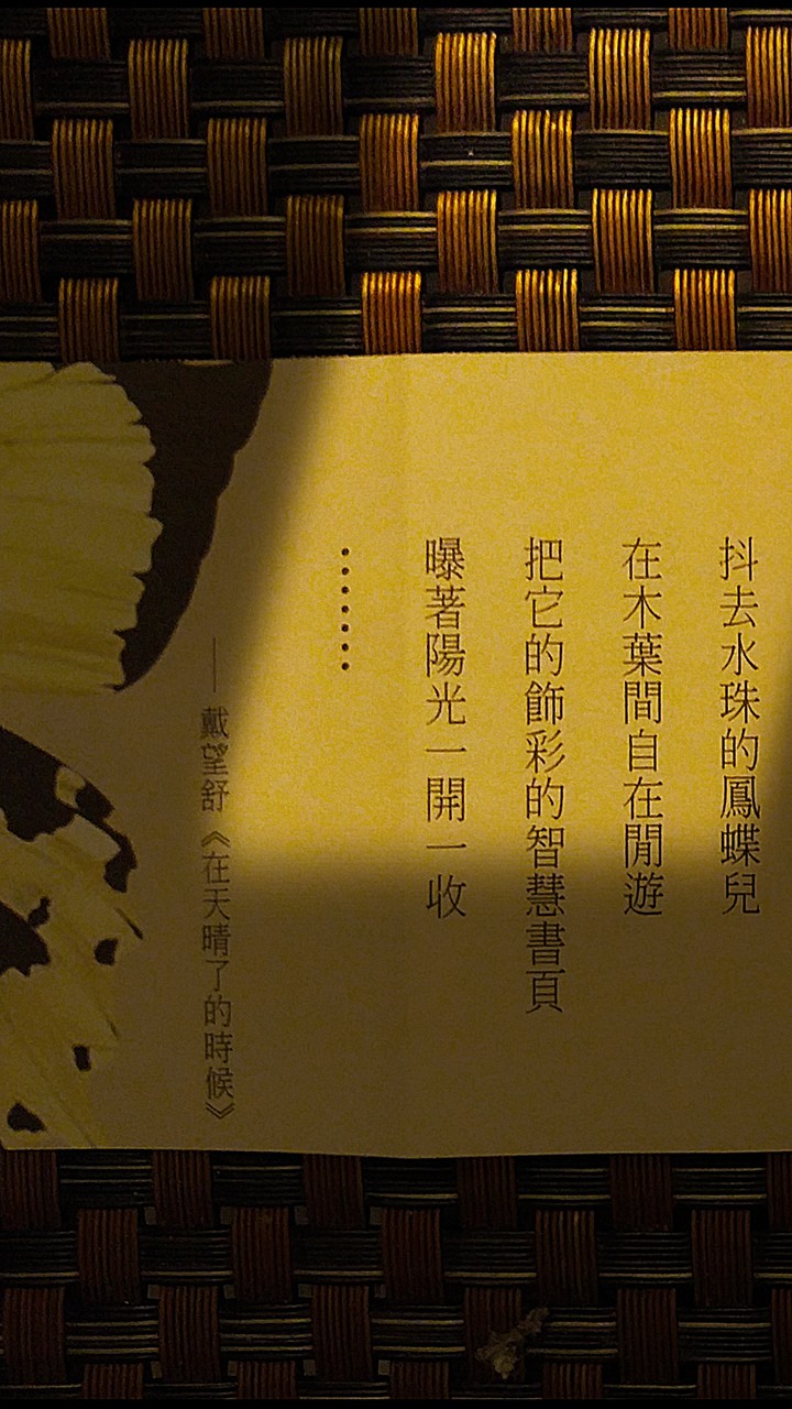 poem of sunny day