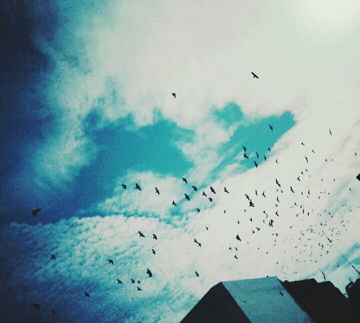 Sky is limtless