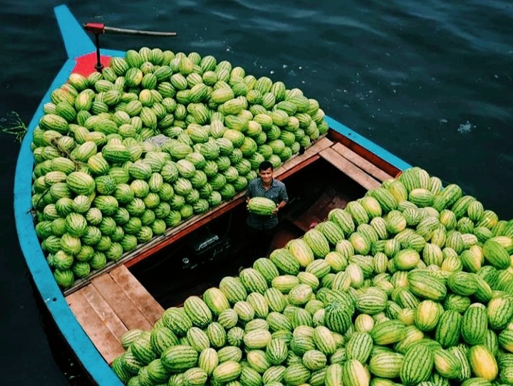 Watermelon