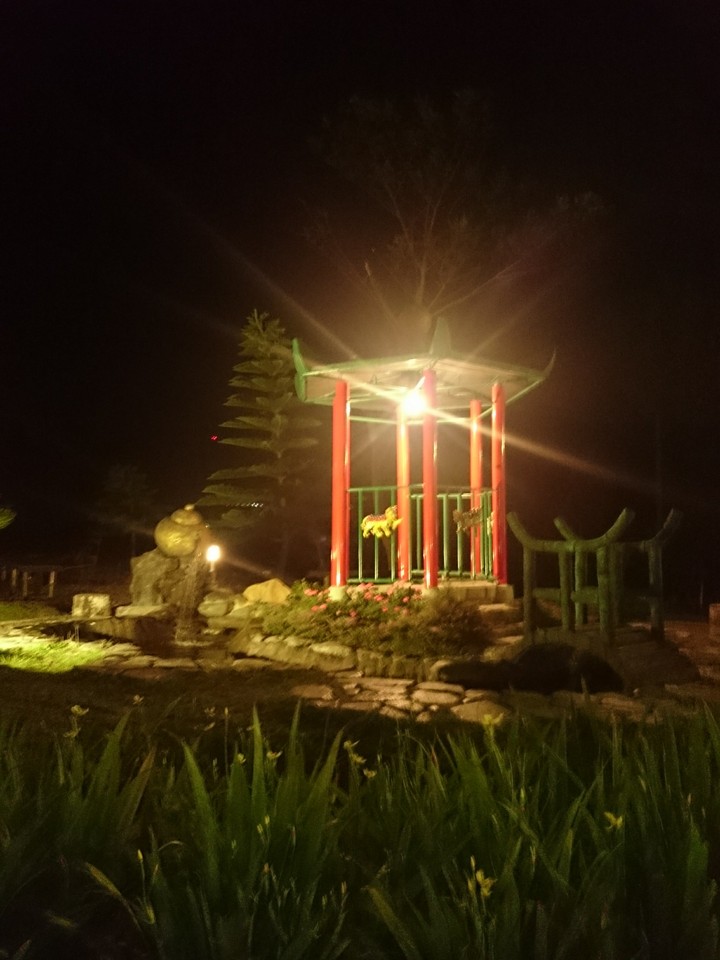 light in the dark
