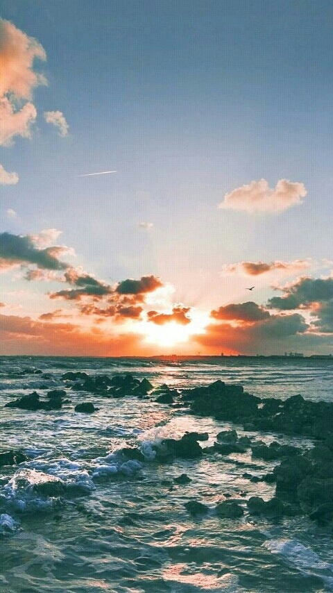 Sea can relax the injured heart
