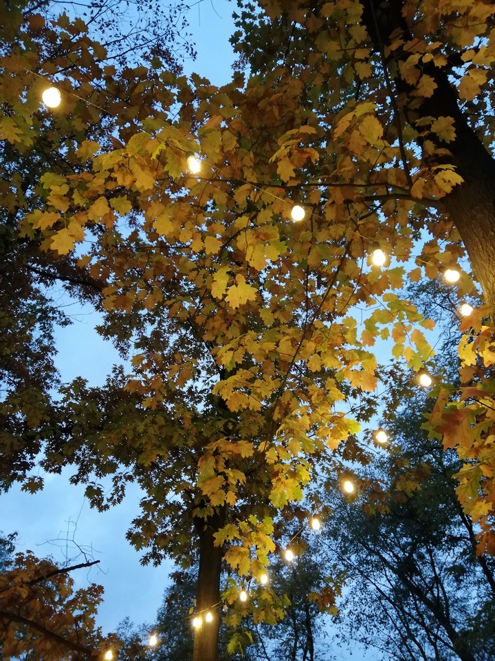 Fall
