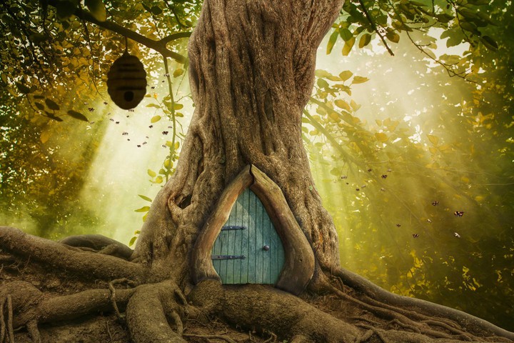 fantasy