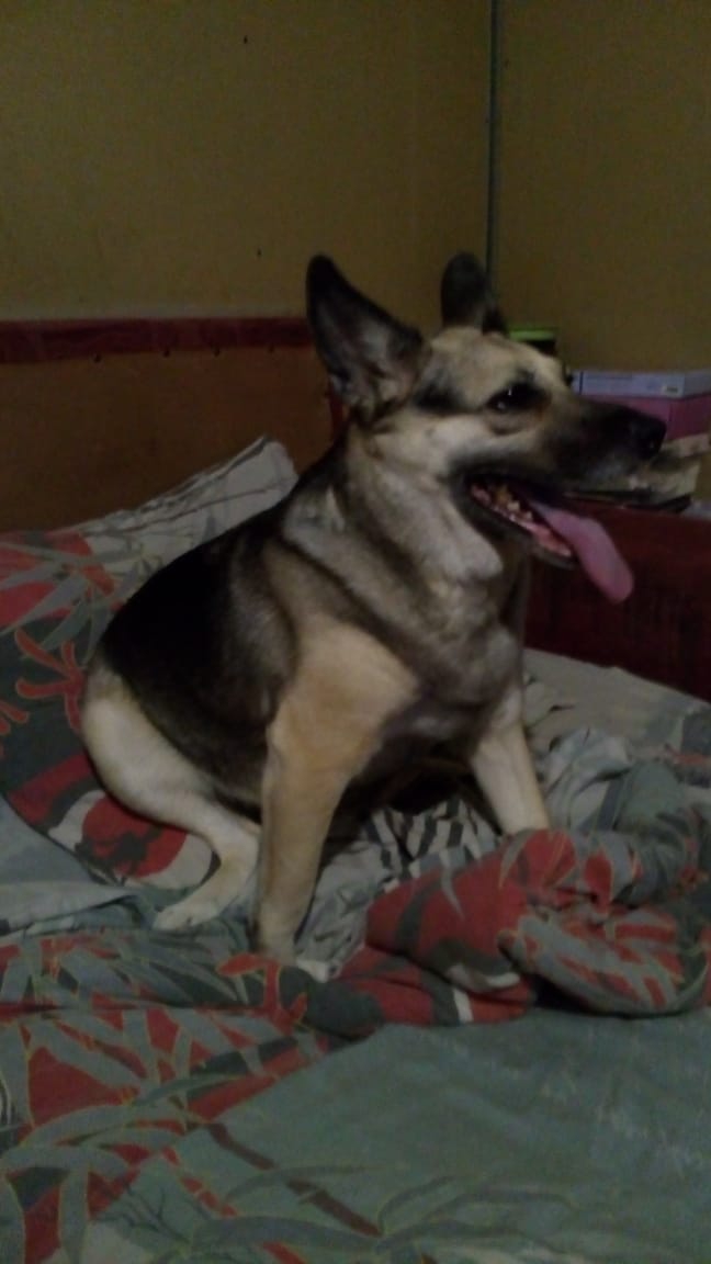 Samanta