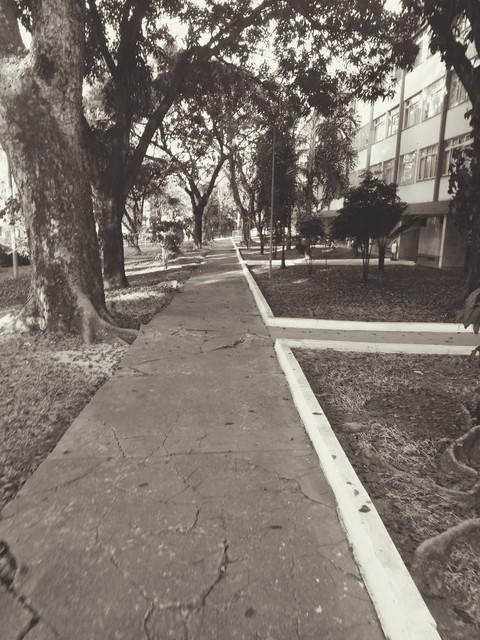 asphalt, monochrome Hintergrundbilder