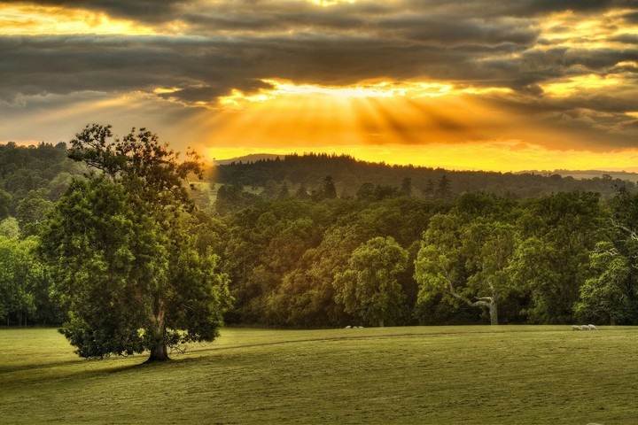 nature of success