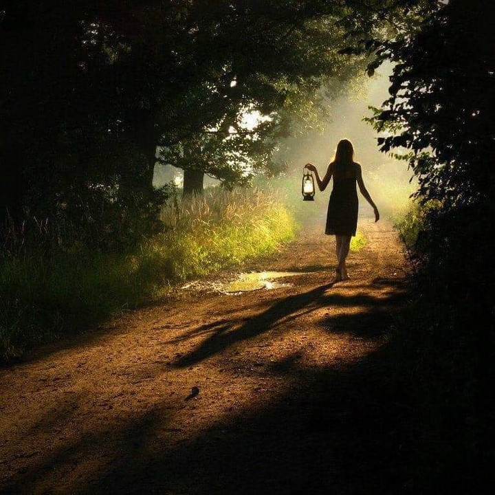 forêt