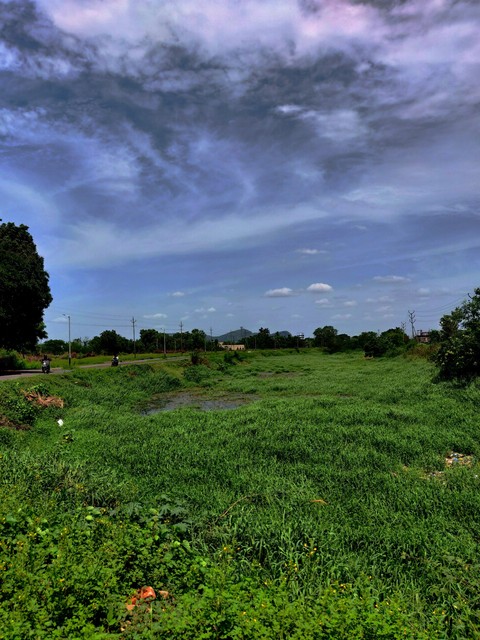 green land