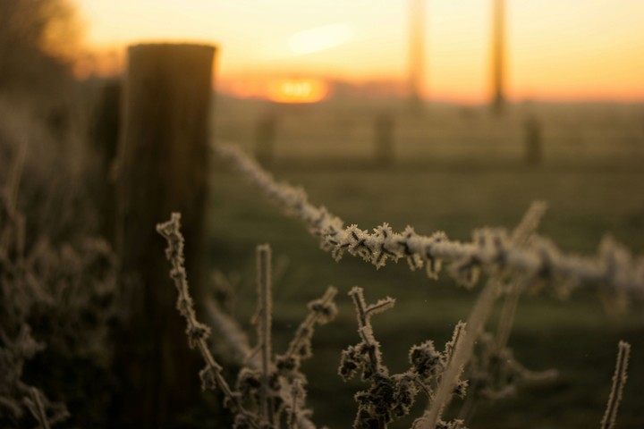 frost