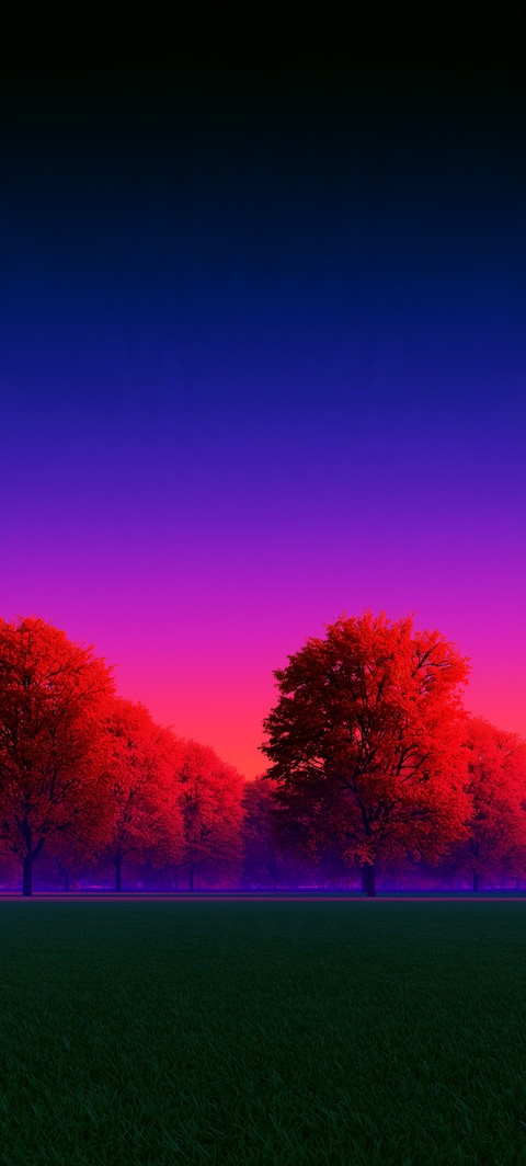 sunset, dusk wallpapers
