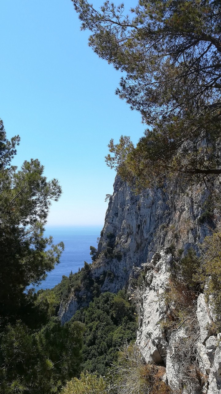 Capri