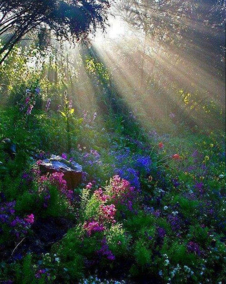 Sunshine