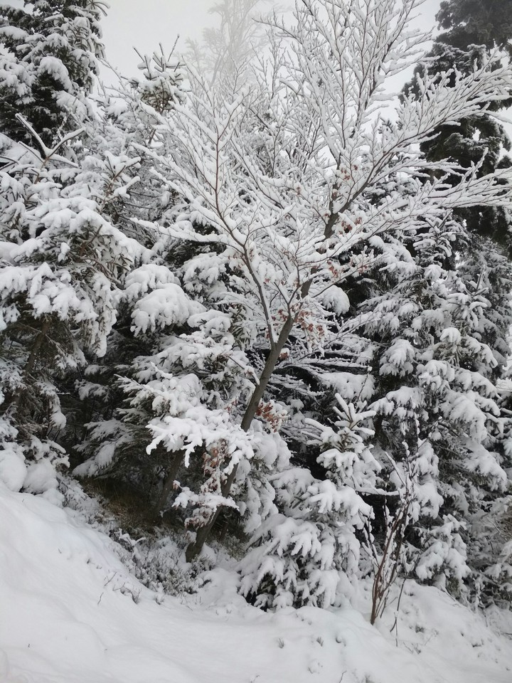 Winter
