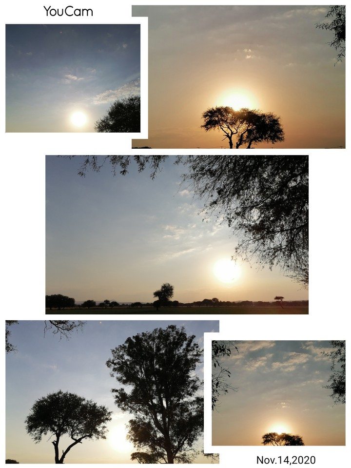 Sunset