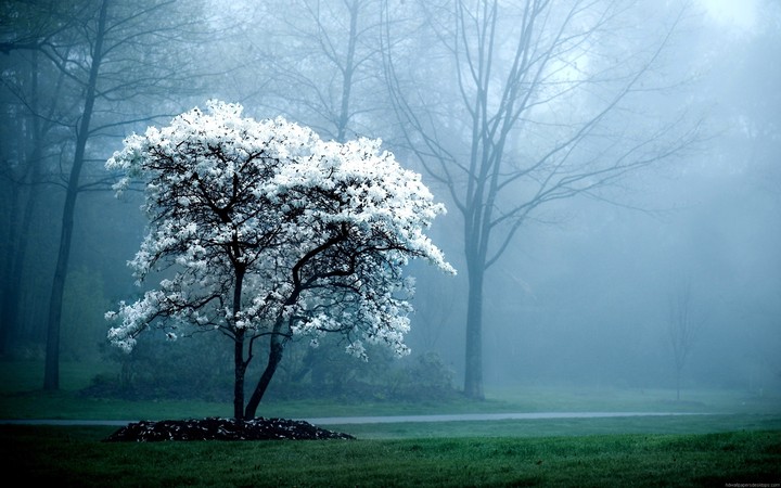 Nature