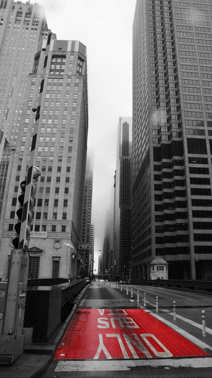 Chicago red 1