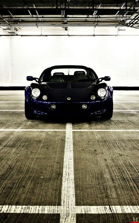 Lotus