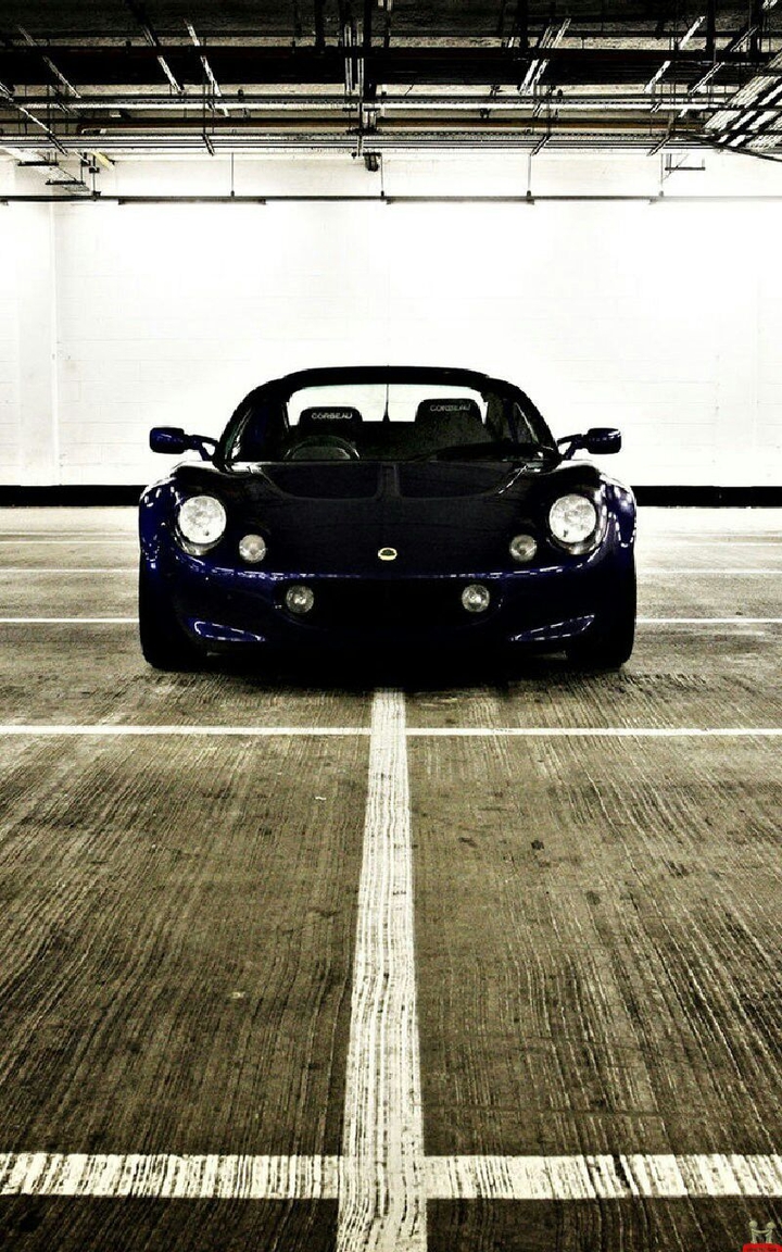 Lotus