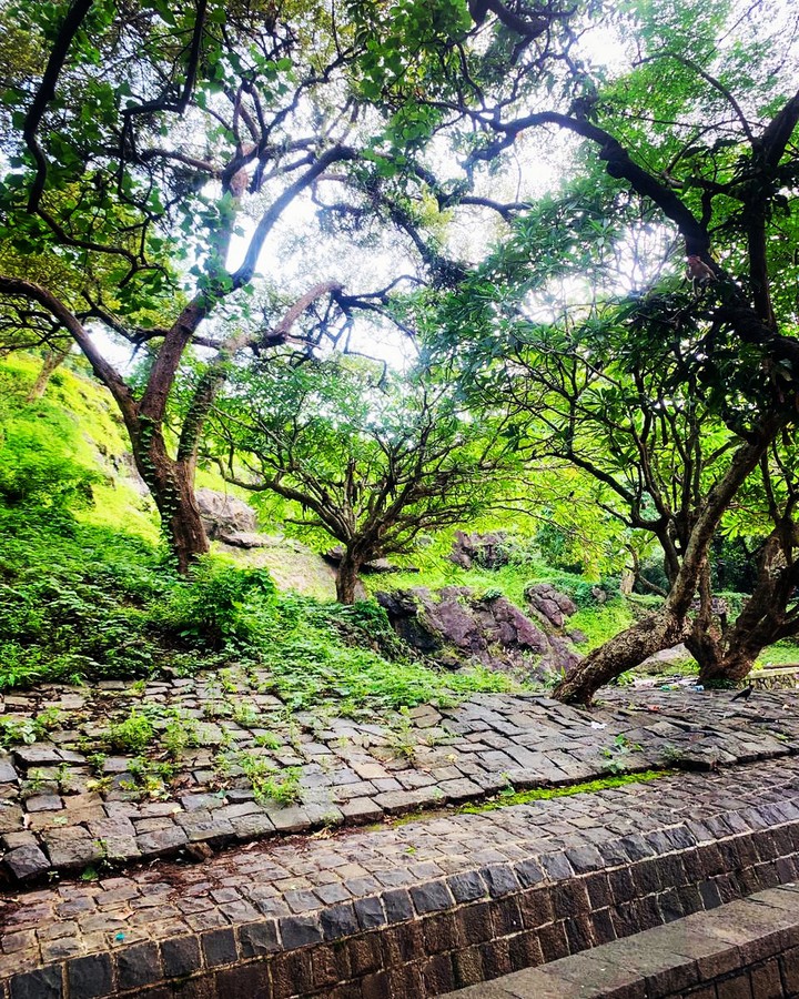 nature