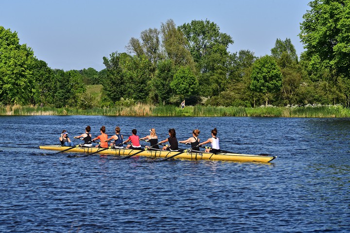 rowing girls