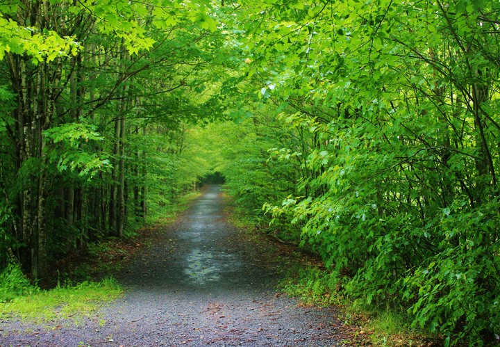 Vieux chemin de fer