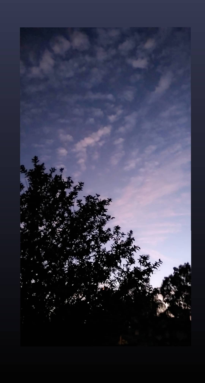 Tranquil