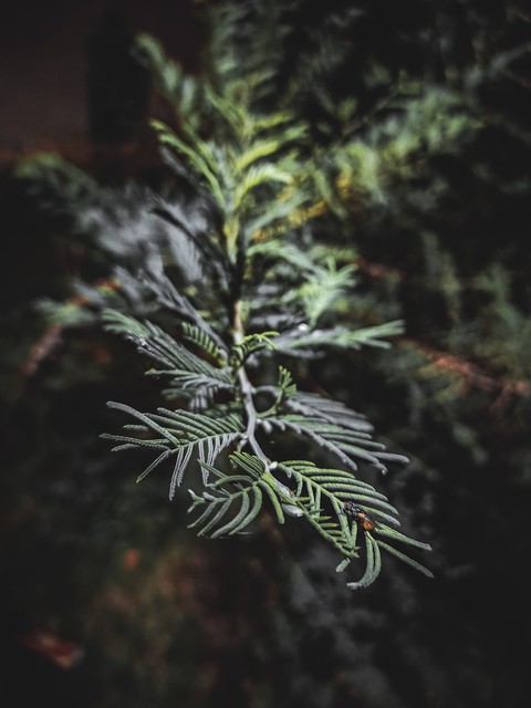 Nature never goes out of style.
