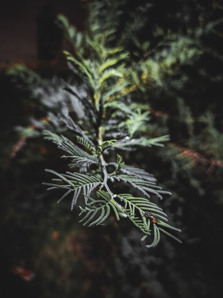 Nature never goes out of style.