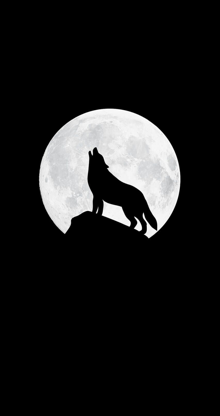 wolf black moon