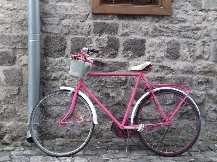 bikes
