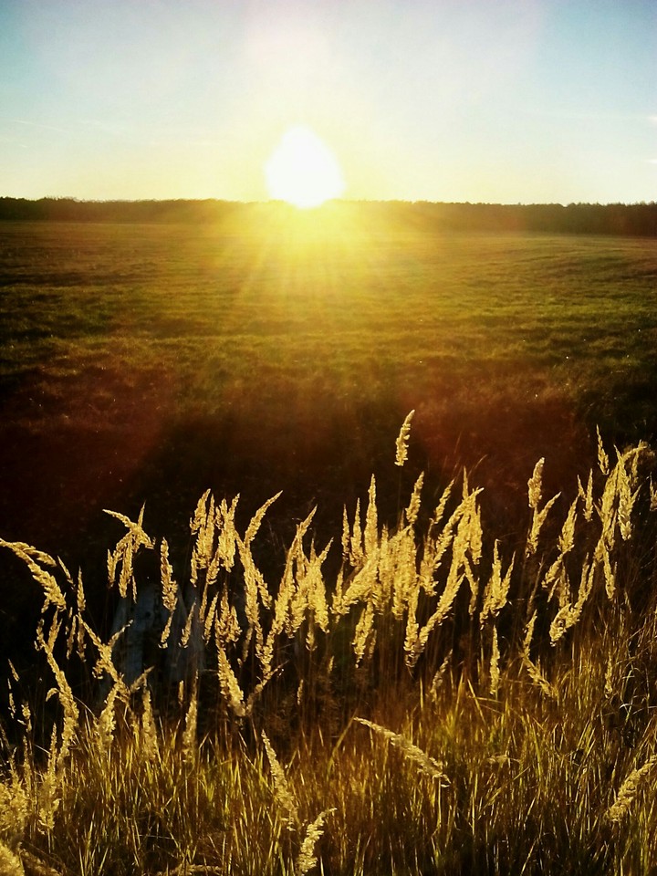 horizon